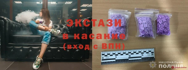 индика Осинники