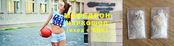 индика Осинники