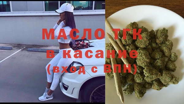 индика Осинники