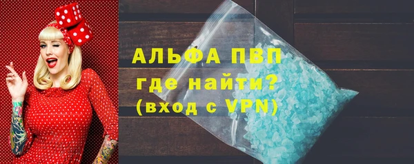 индика Осинники