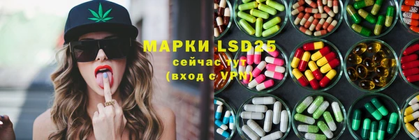 spice Пестово