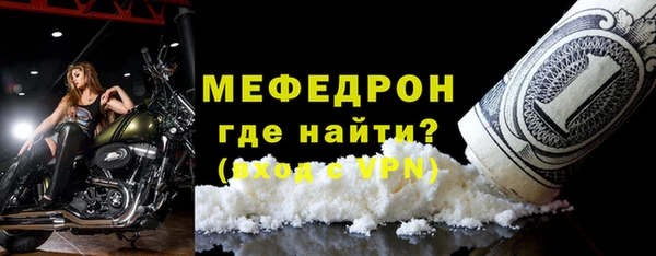 индика Осинники