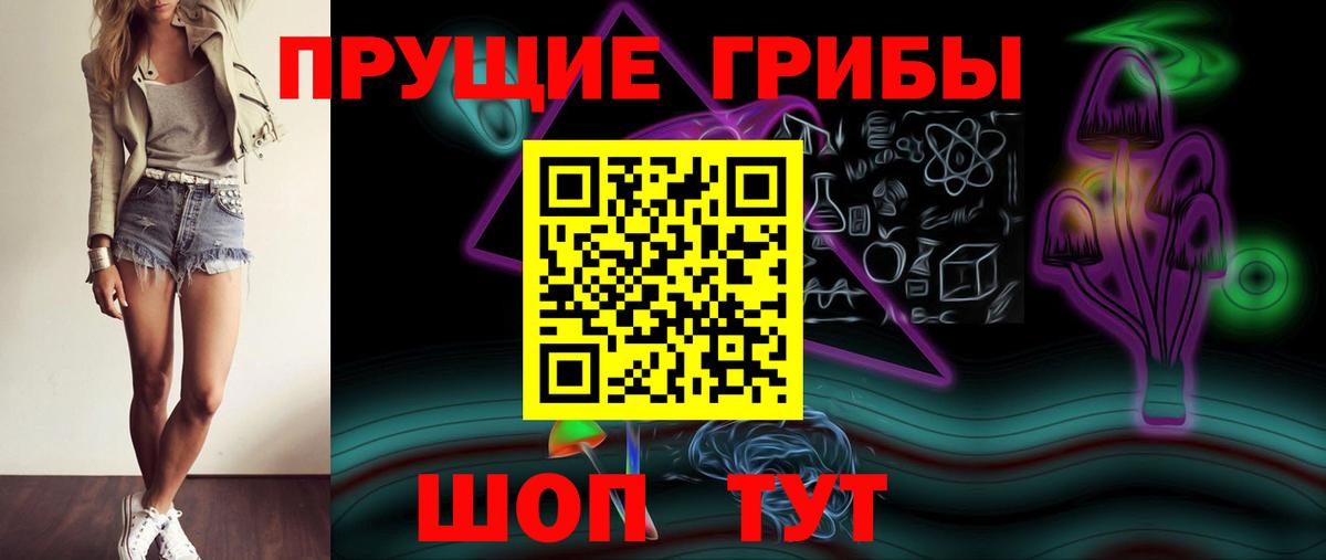 Галлюциногенные грибы Psilocybine cubensis  Вход с VPN  Петрозаводск 