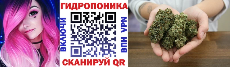Конопля THC 21%  Петрозаводск 